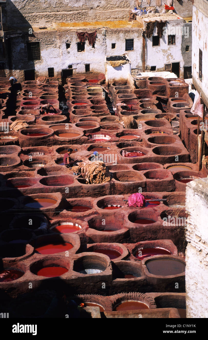 Morocco, Fes, tanning Stock Photo