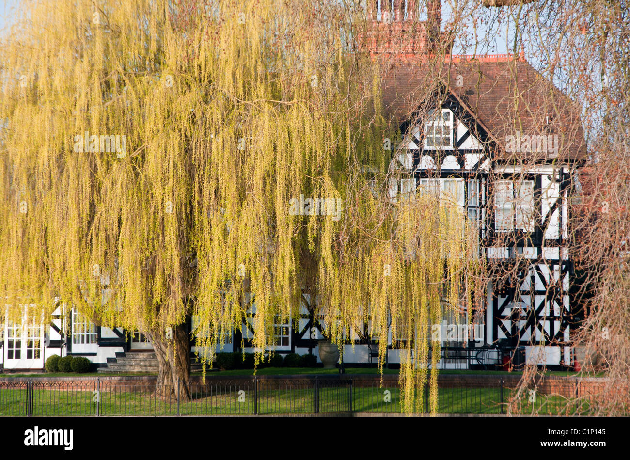 Mock tudor house hires stock photography and images Alamy