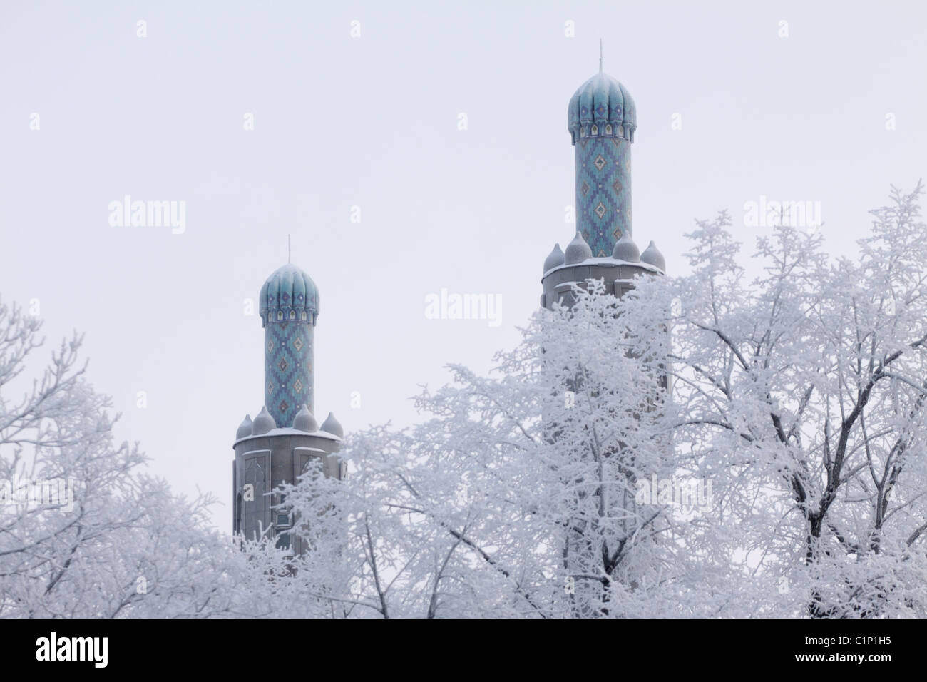 Minarets in St.Petersburg Stock Photo