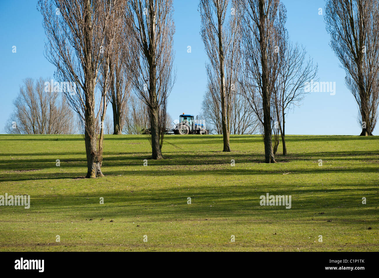 A council tractor passes behind trees as it cuts the grass in a municipal park in Basildon,Essex. Stock Photo