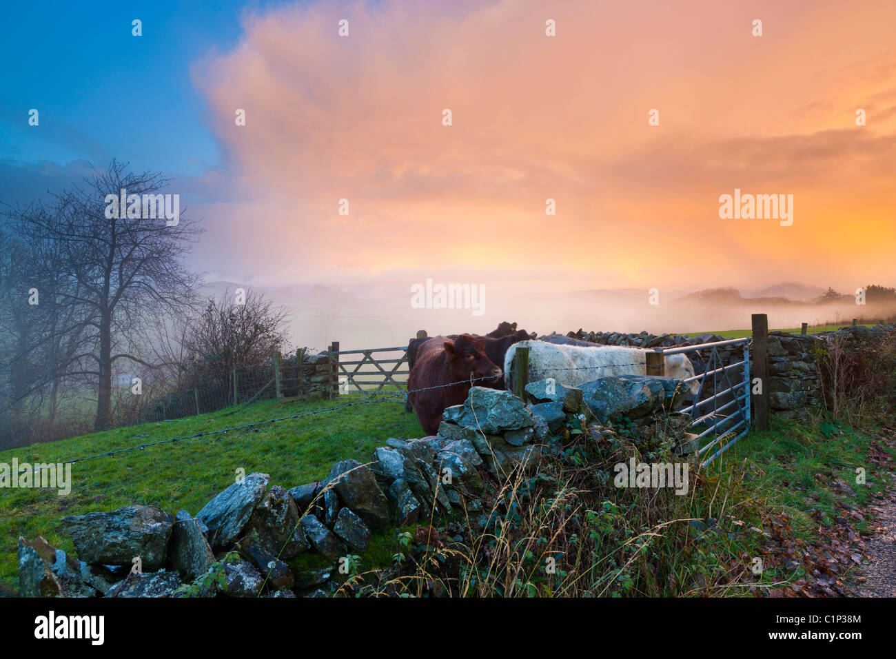 Sunrise over Crake Valley, Lowick, Lake District National Park, Cumbria, England, Europe Stock Photo