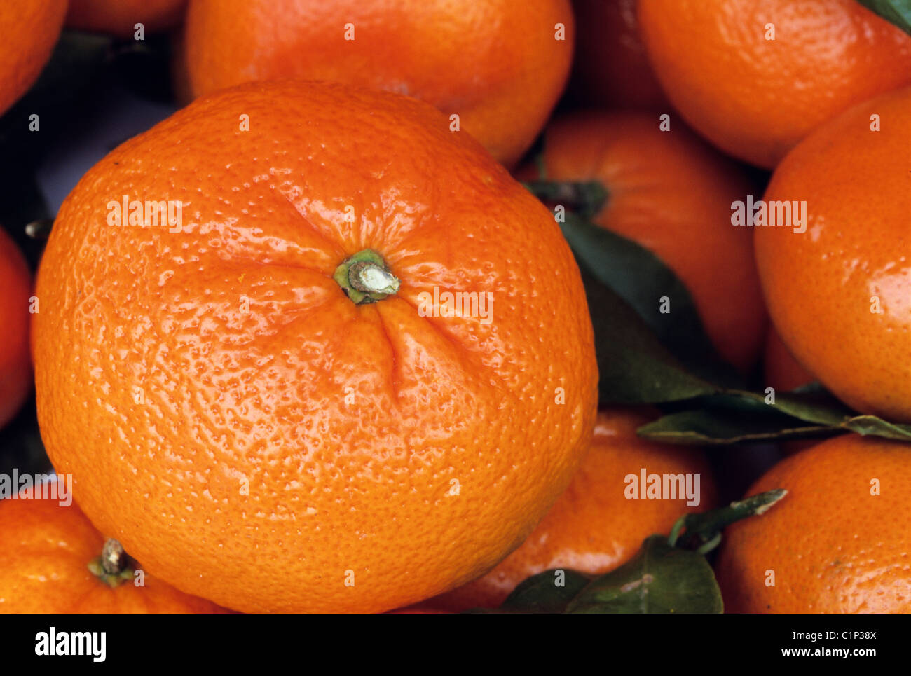 Clementines france hires stock photography and images Alamy