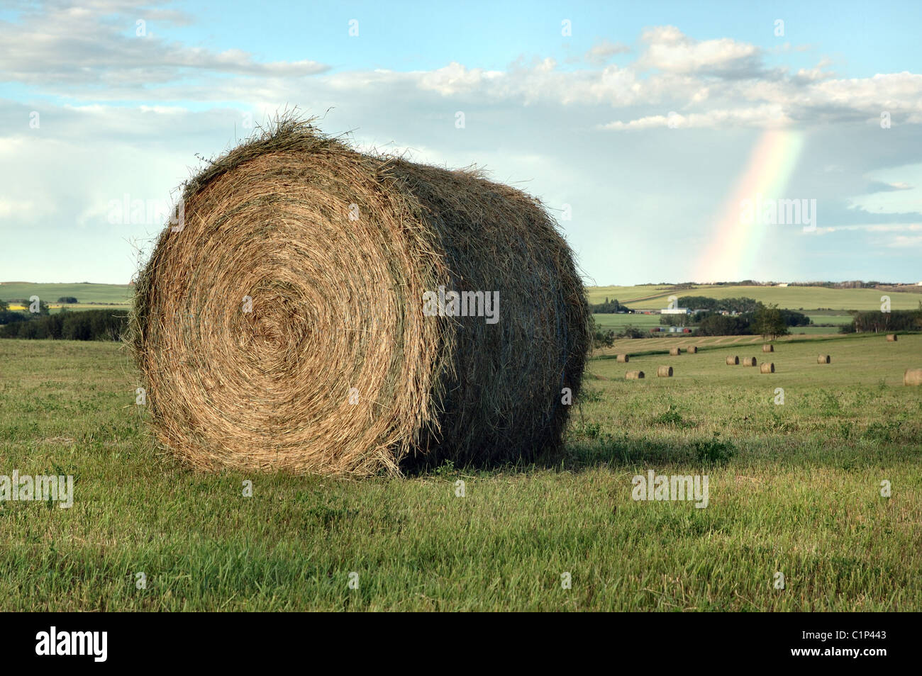 A round bale of hay sitting in a field in the country with a rainbow in the background. Stock Photo