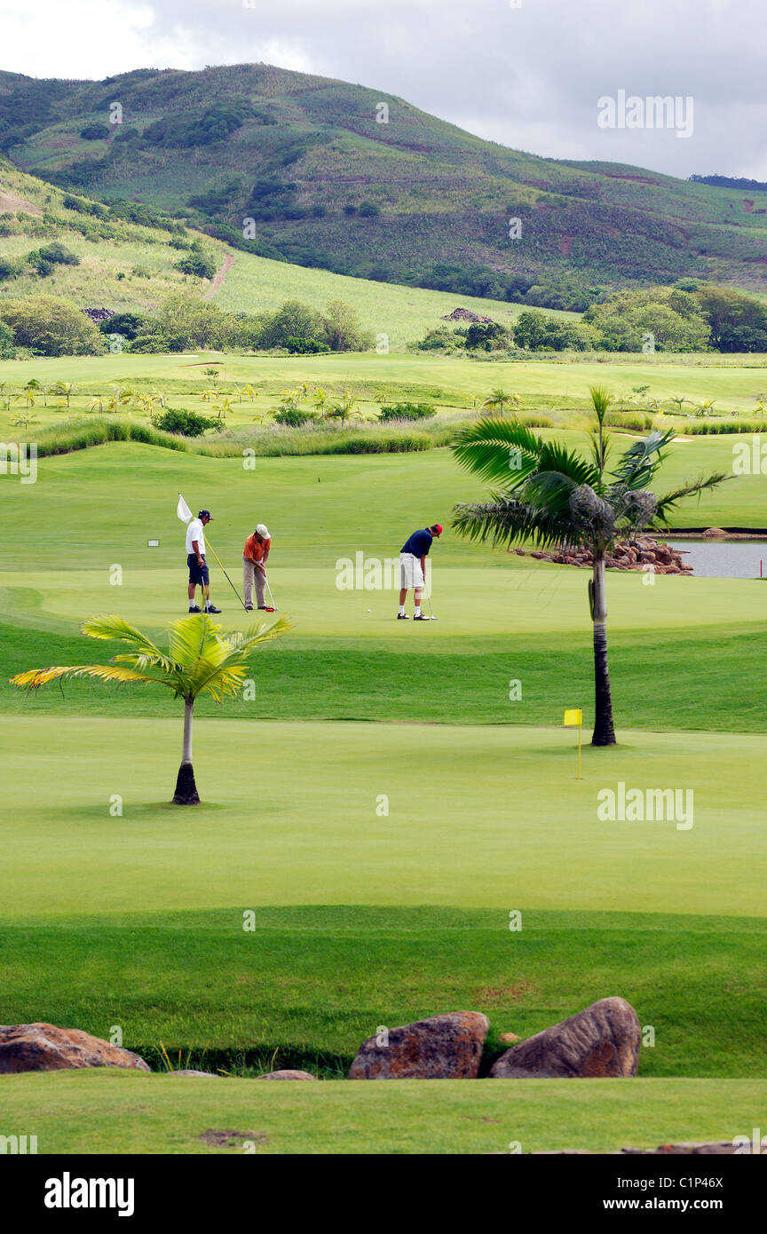 Weddings, image size:864x1390