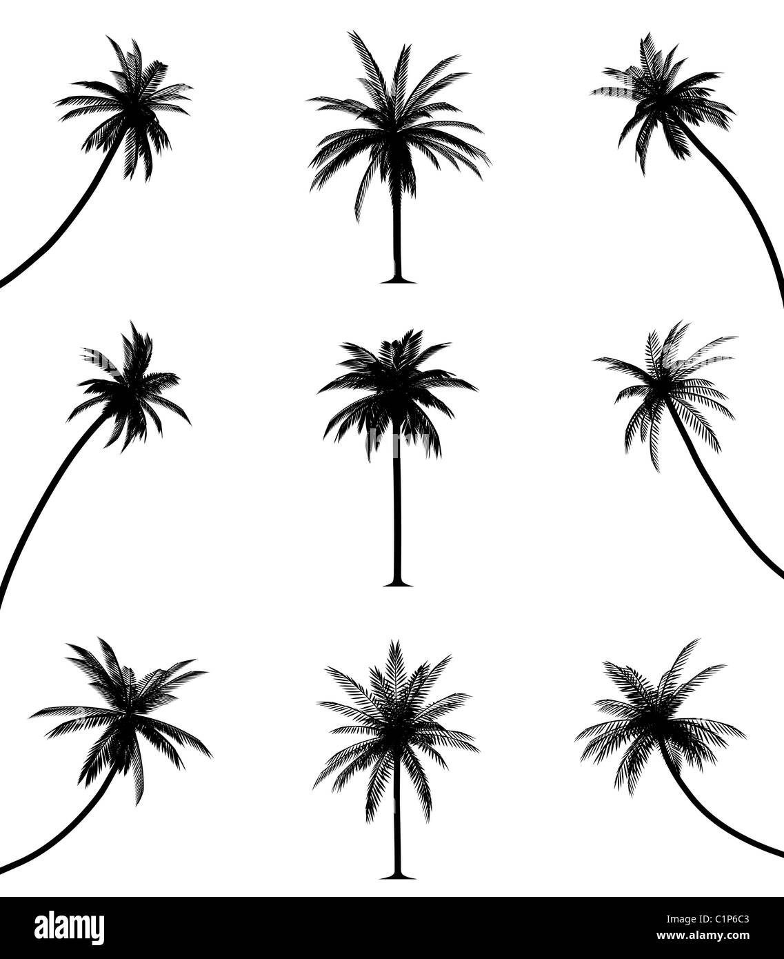 Tree variety Black and White Stock Photos & Images Alamy