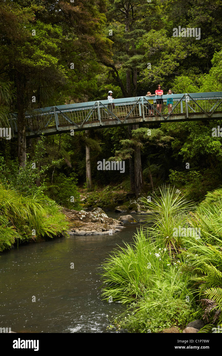 Tourists on bridge across Hatea River below Whangarei Falls, Whangarei, Northland, North Island, New Zealand Stock Photo