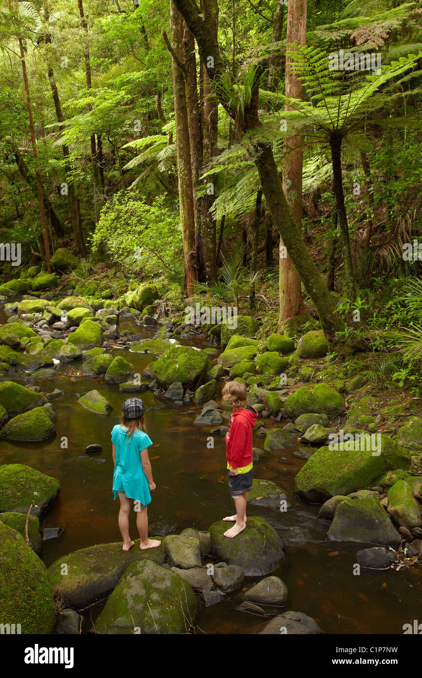 Children by Waikoromiko Stream and forest, A.H. Reed Memorial Kauri Park, Whangarei, Northland