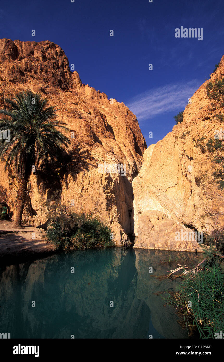 Tunisia north africa chebika hi-res stock photography and images - Alamy