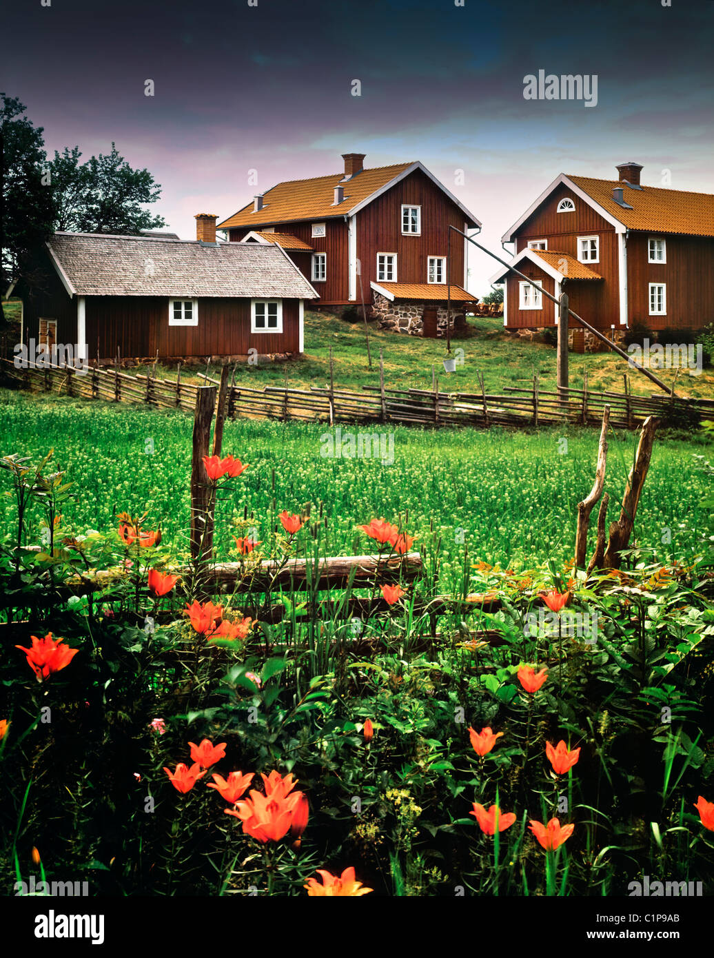 Blossoming flowers in the facade hires stock photography and images