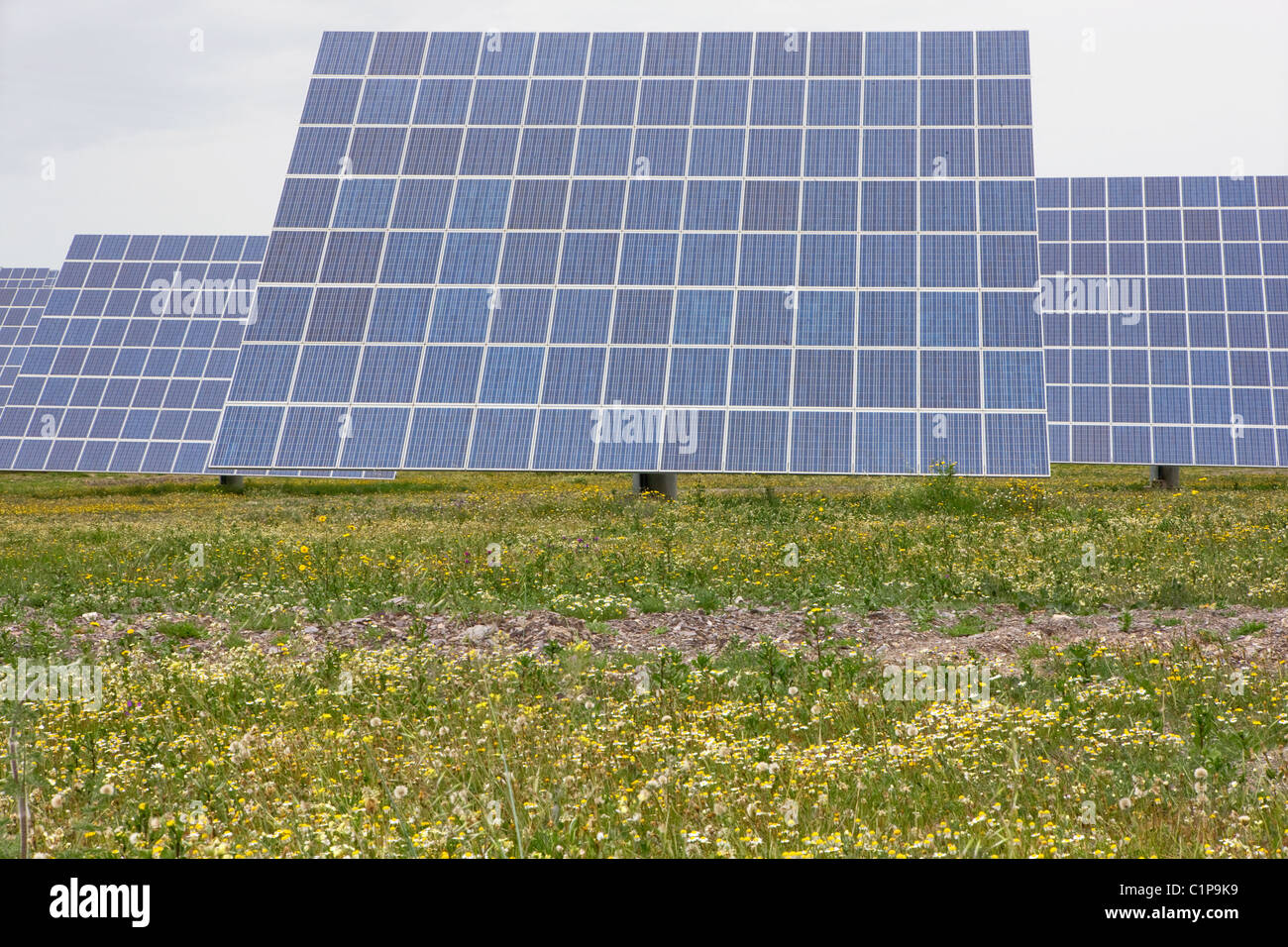 Solar panels on grass Stock Photo Alamy
