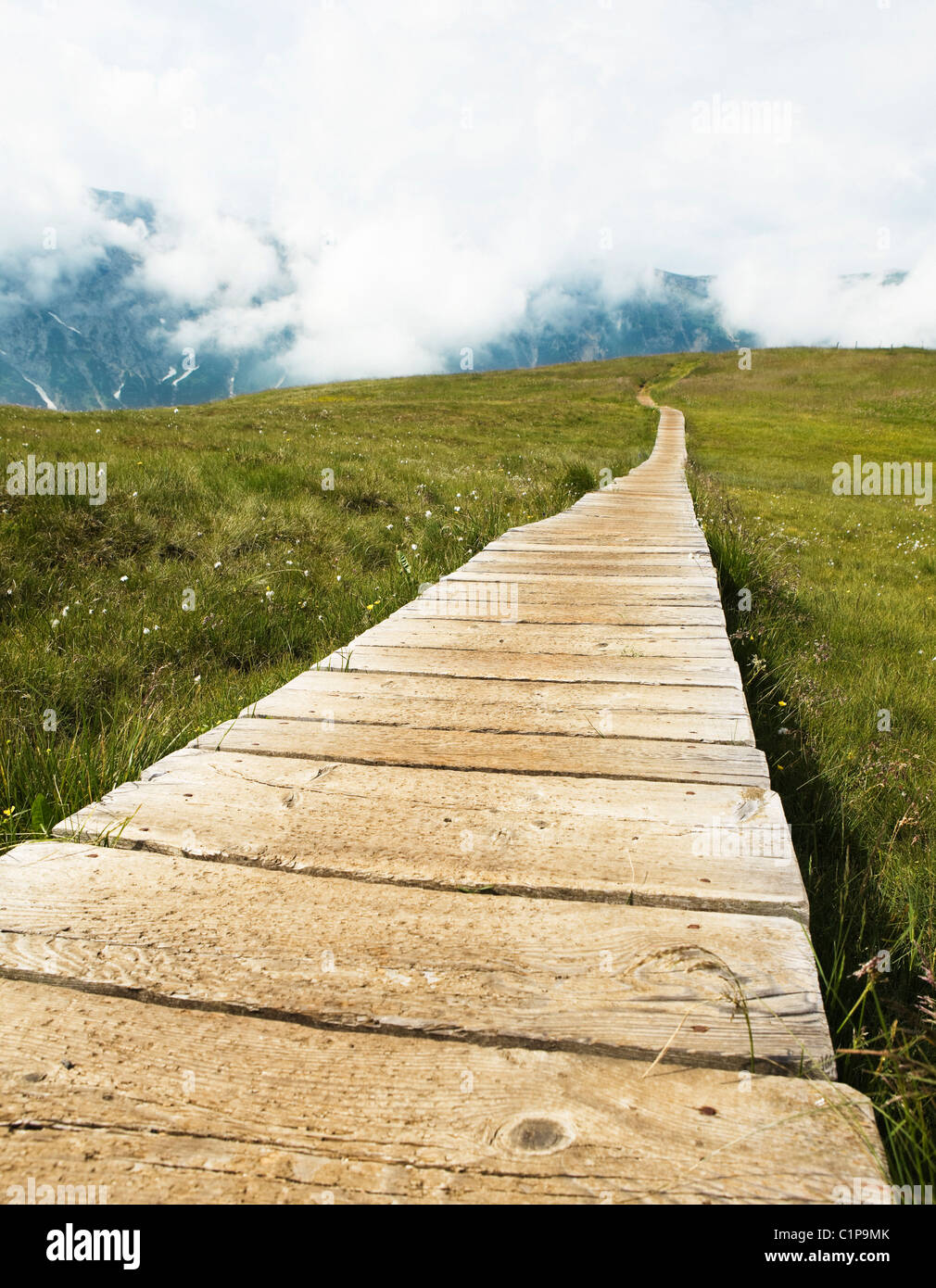 Wooden boardwalk on meadow Stock Photo Alamy