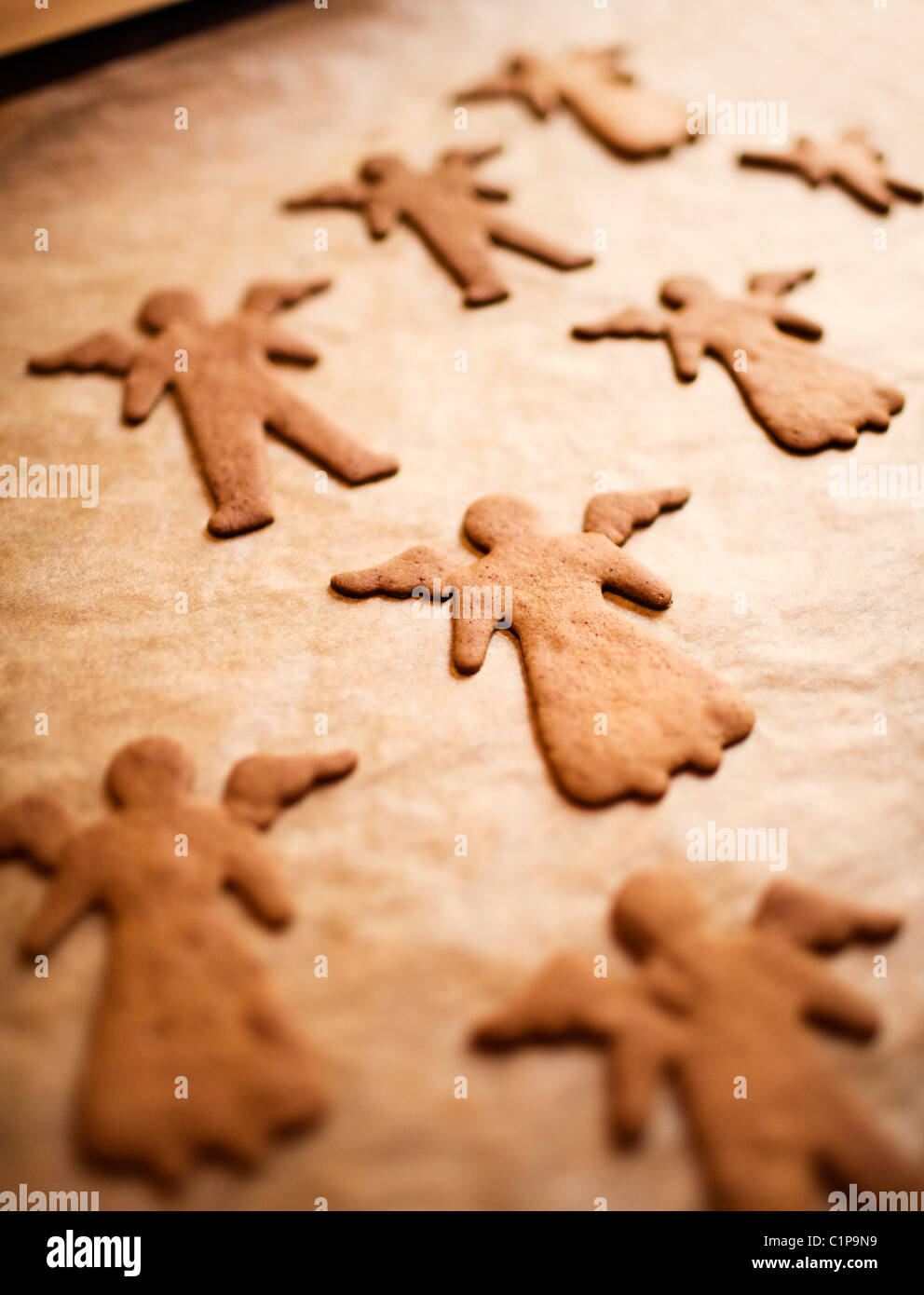 High angle close up of Gingerbread Men on a baking tray. Stock Photo by  Mint_Images