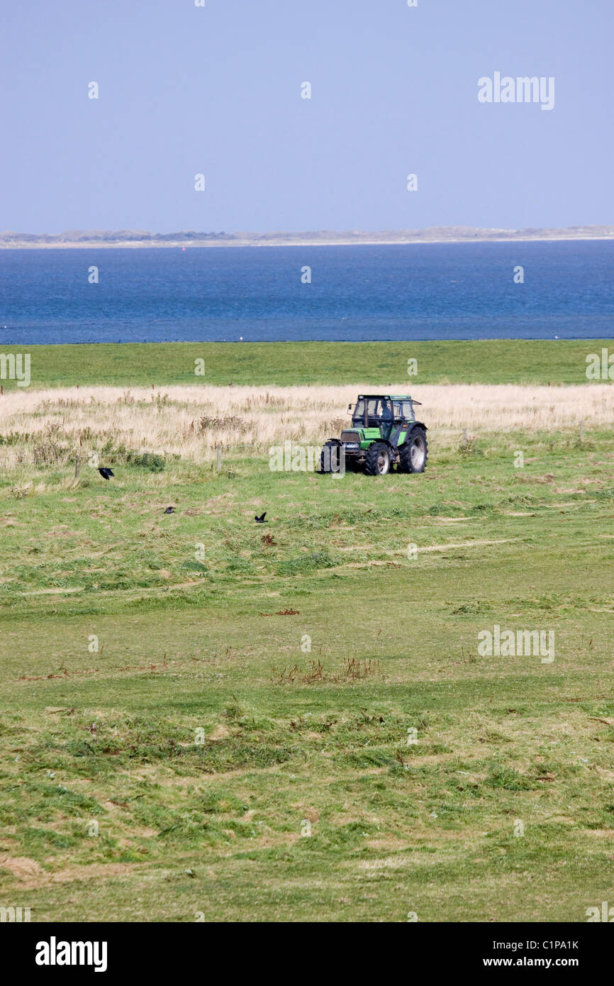 Germany, Ostfriesland, tractor in field next to sea Stock Photo
