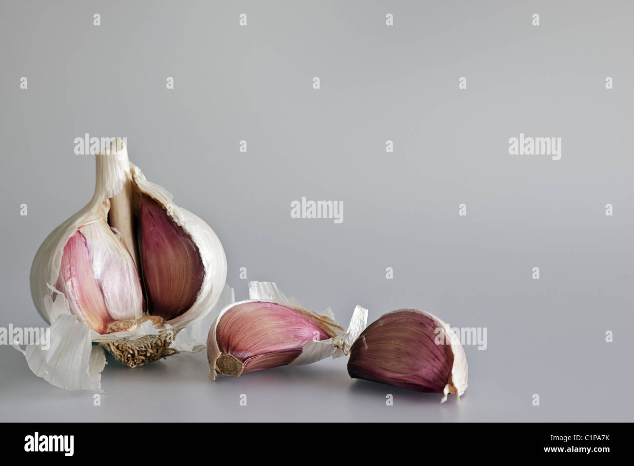 Still life of a bulb and two cloves of garlic against a grey background ...