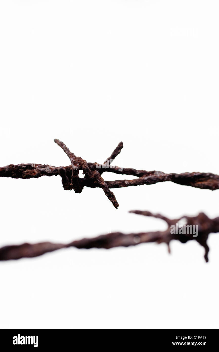 Barbed wire, closeup Stock Photo Alamy