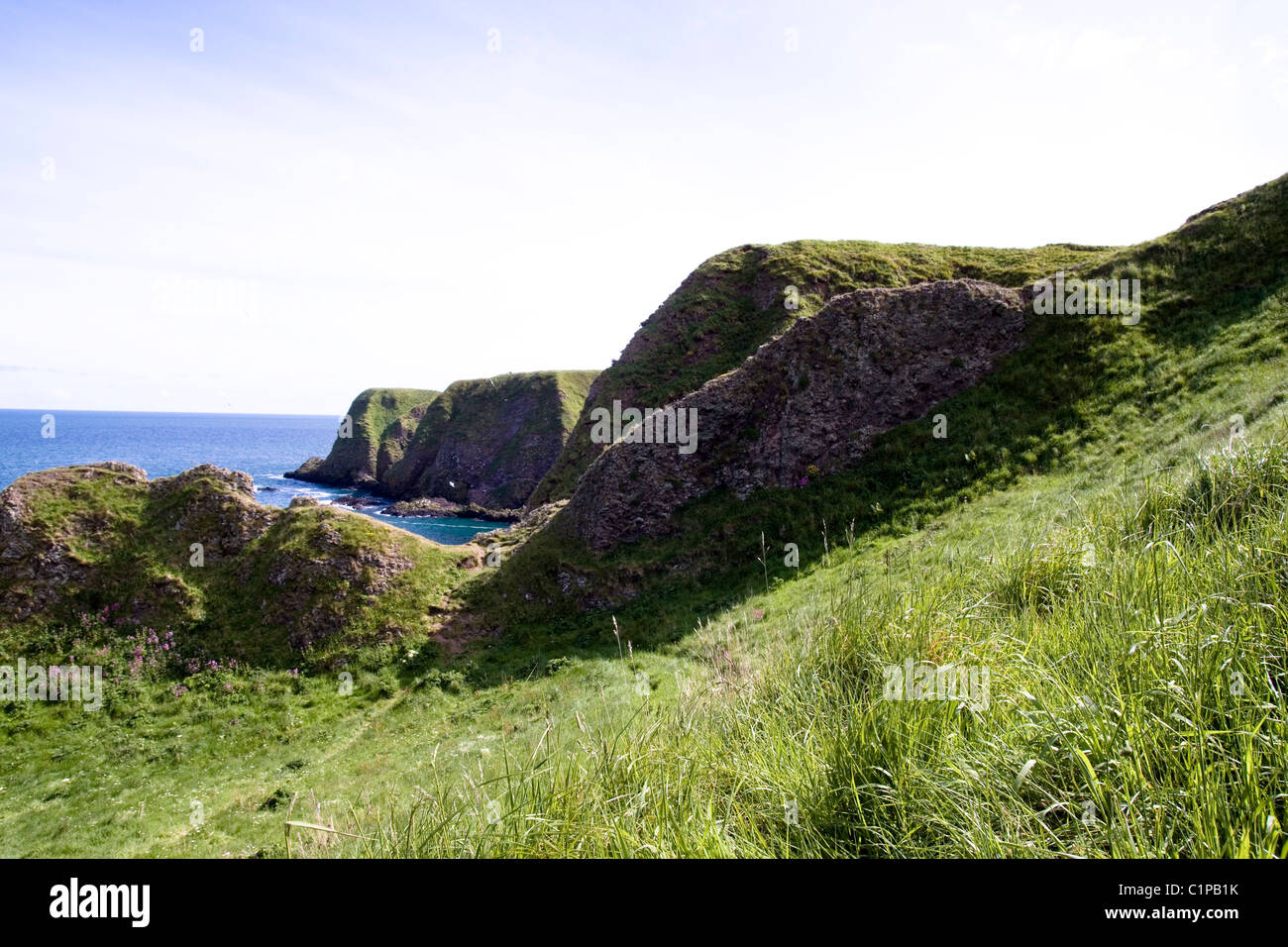 Scotland, Stonehaven, coastline and cliffs Stock Photo