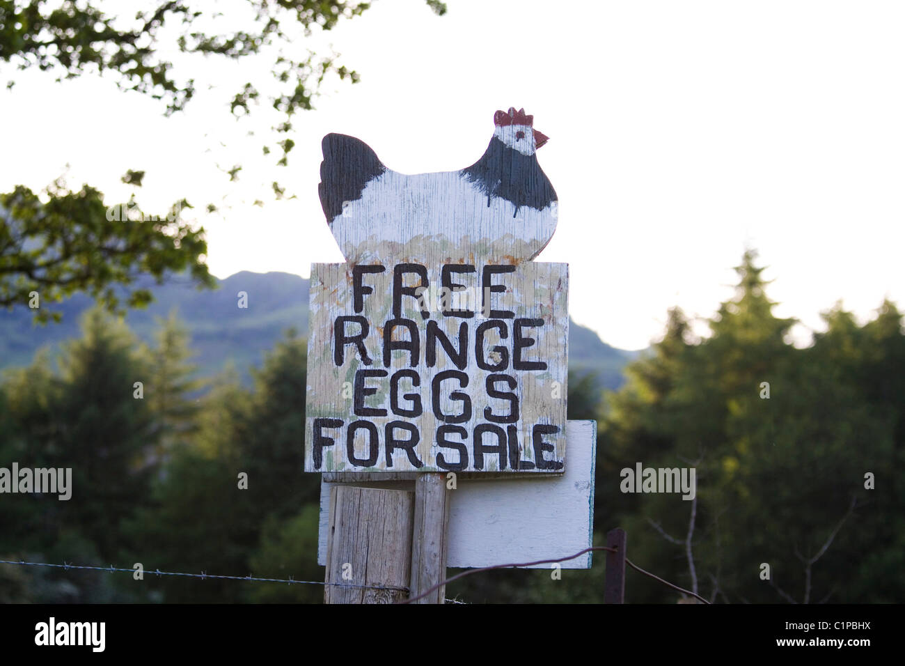 Scotland, Loch Lomond and Trossachs, sign for free range eggs Stock Photo