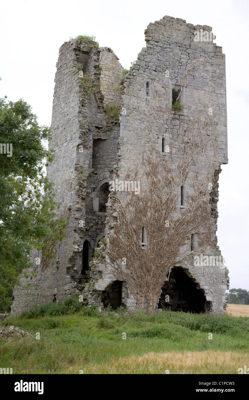 Republic of Ireland, County Tipperary, Terryglass, remains of Folly Castle Stock Photo