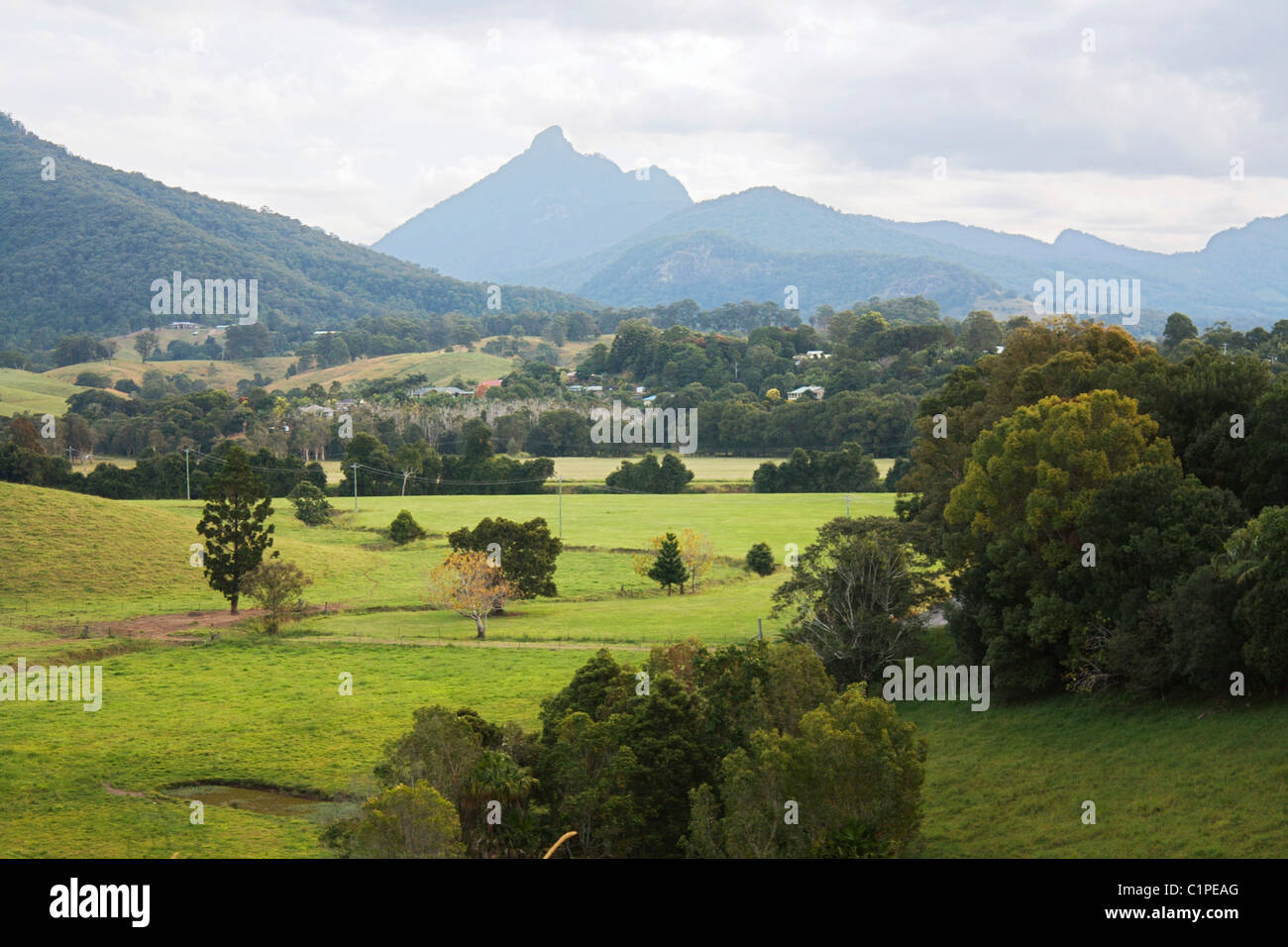 Australia New South Wales Mount Warning National Park Mountain And Stock Photo Alamy