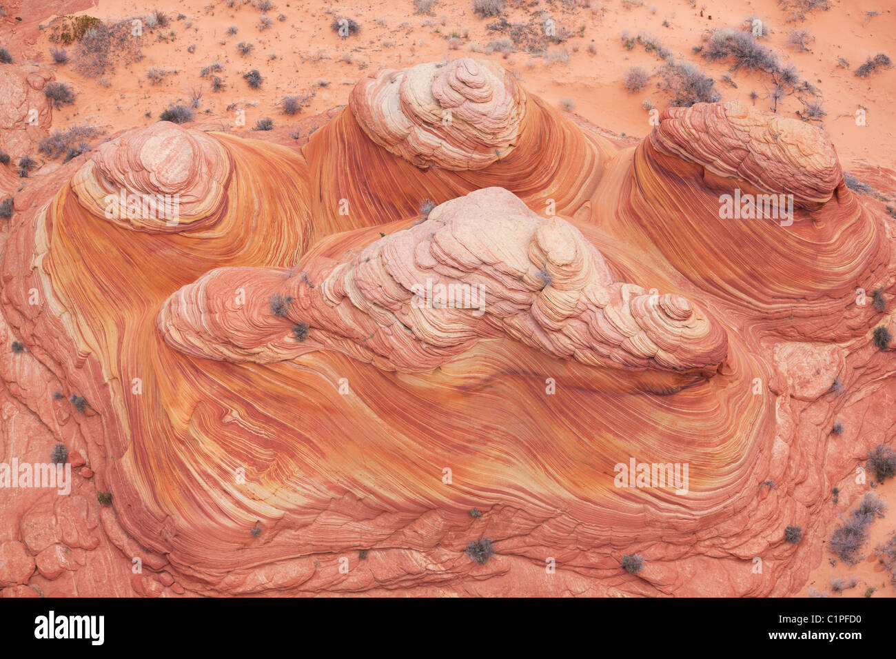 AERIAL VIEW. Coyote Buttes. Scenic sandstone formation in Coconino County in Northern Arizona, USA. Stock Photo