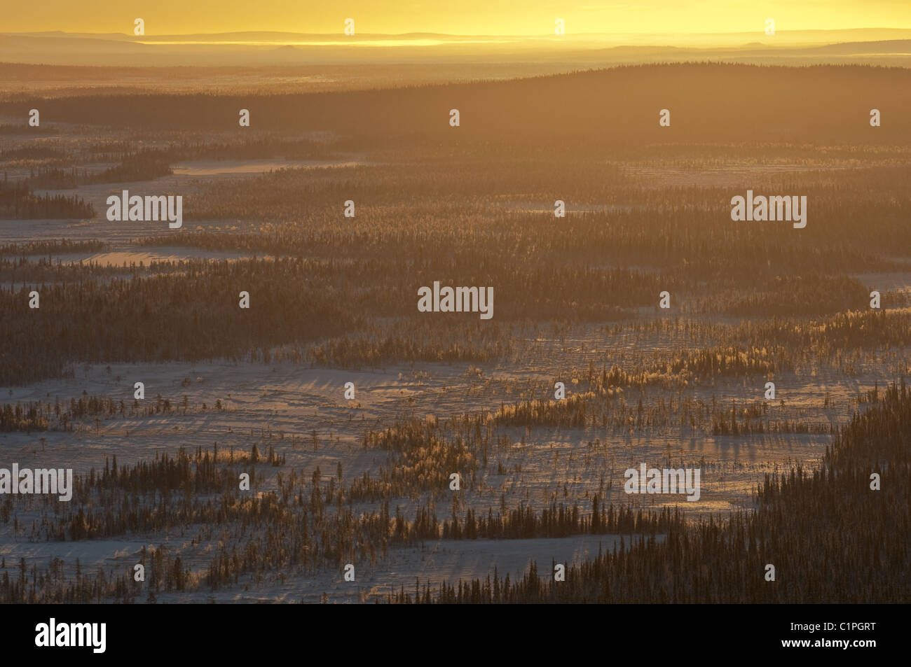 Muddus NP, Lapland, Sweden Stock Photo