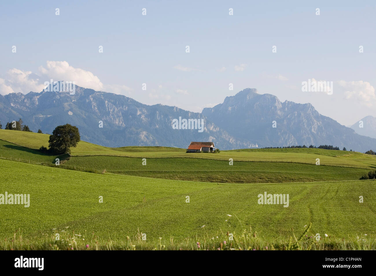 Germany, Bavaria, Halblech, isolated farmhouse with mountain range in background Stock Photo