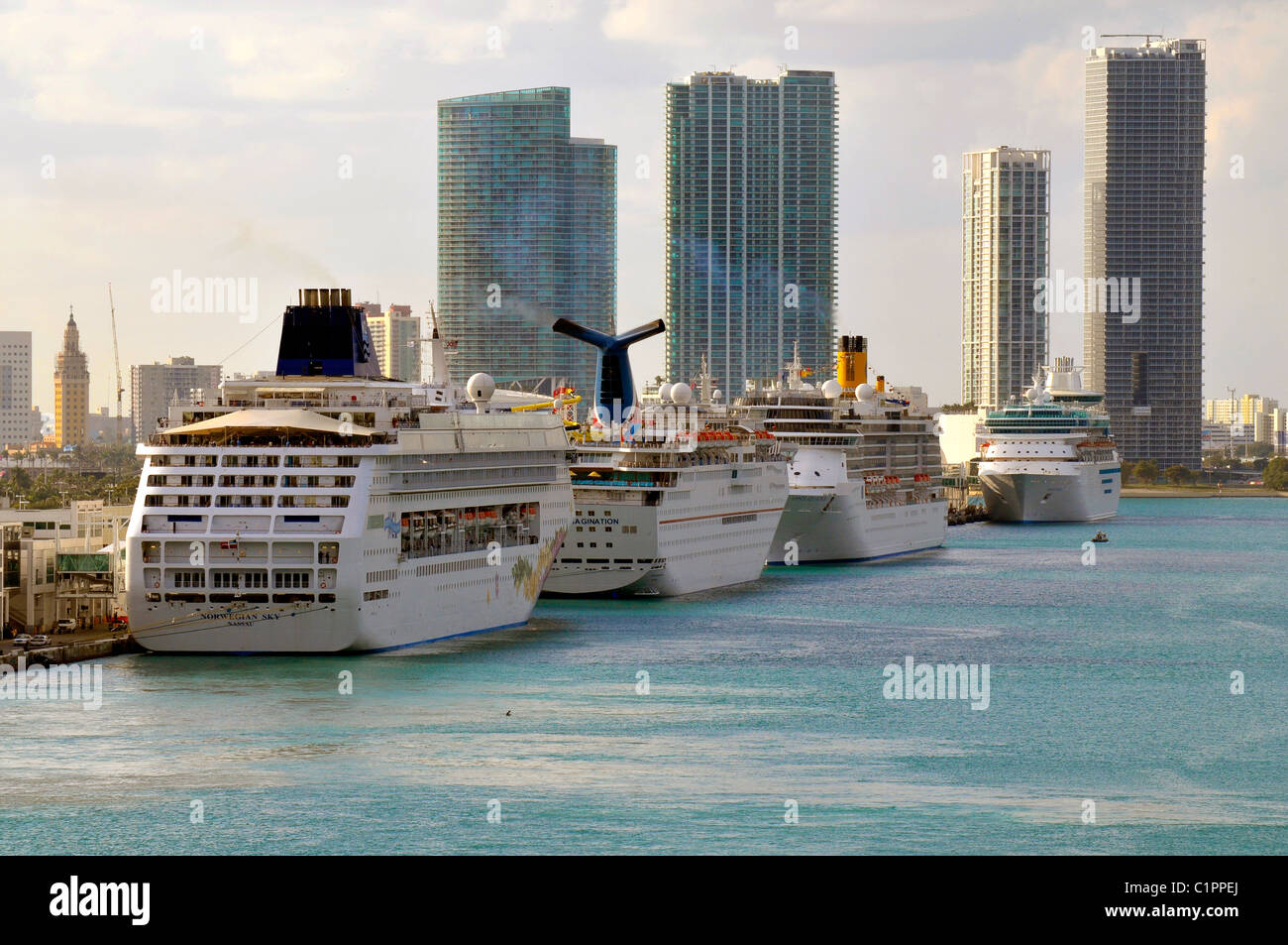Cruise ships line harbor in Miami Florida Stock Photo Alamy