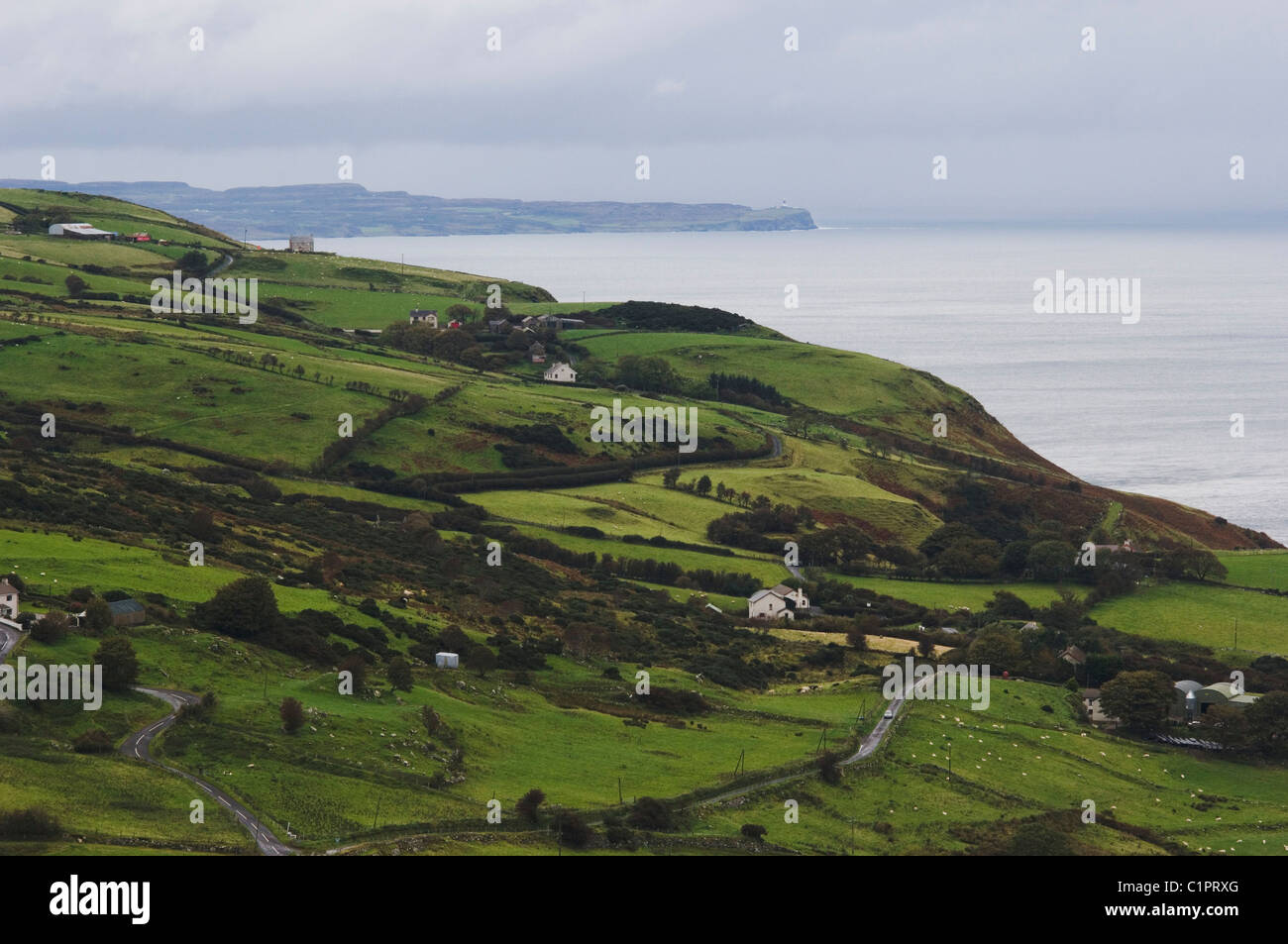Northern Ireland, Causeway Coast, Landscape with sea in background Stock Photo