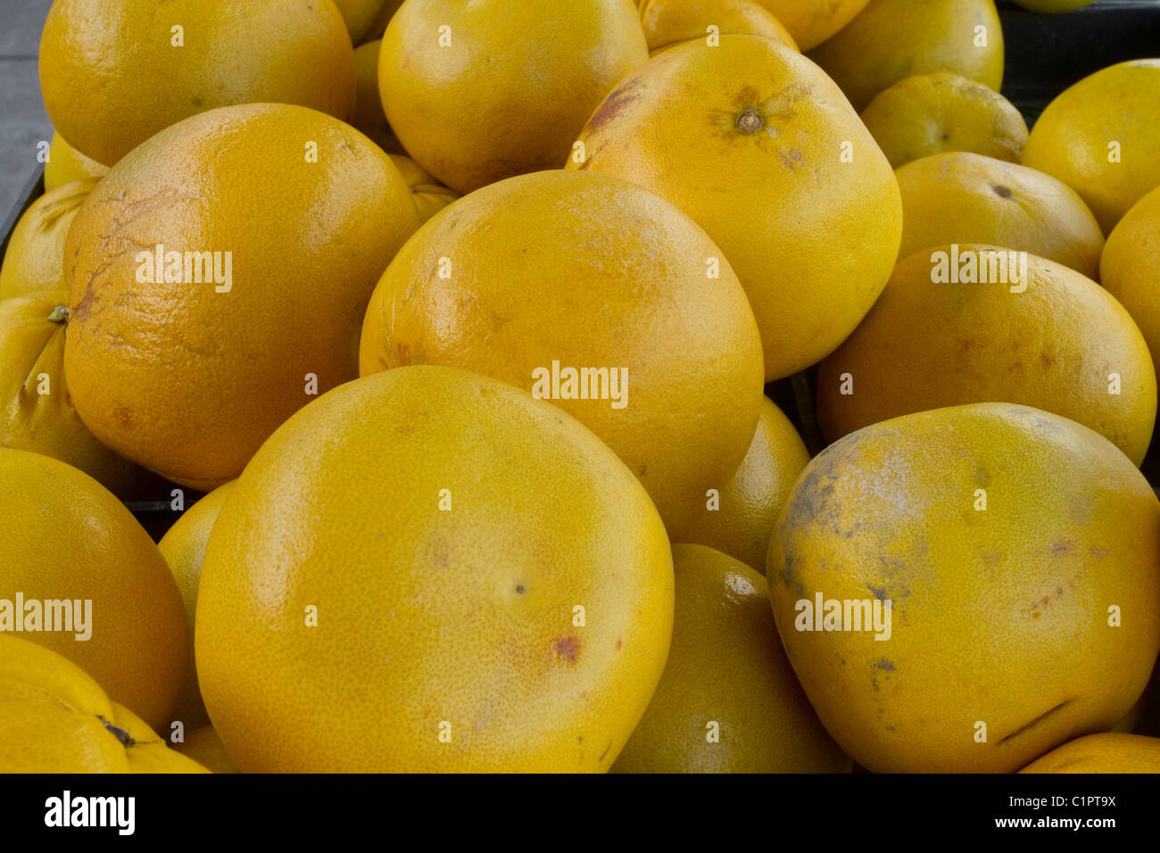 Grapefruit on Shelf California USA Stock Photo Alamy