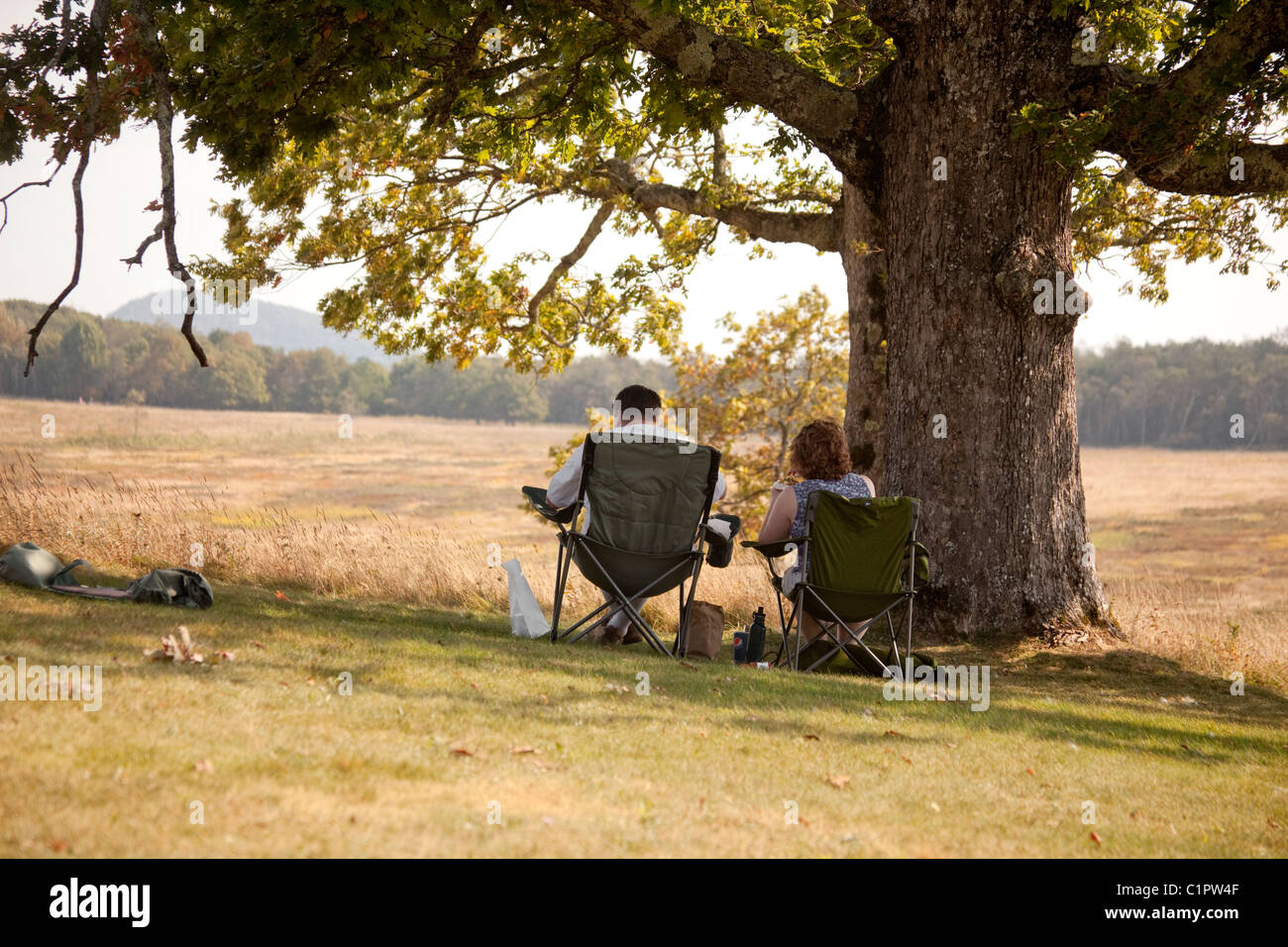 Picnicking couple under  a tree in Shenandoah National Park Virginia USA Stock Photo