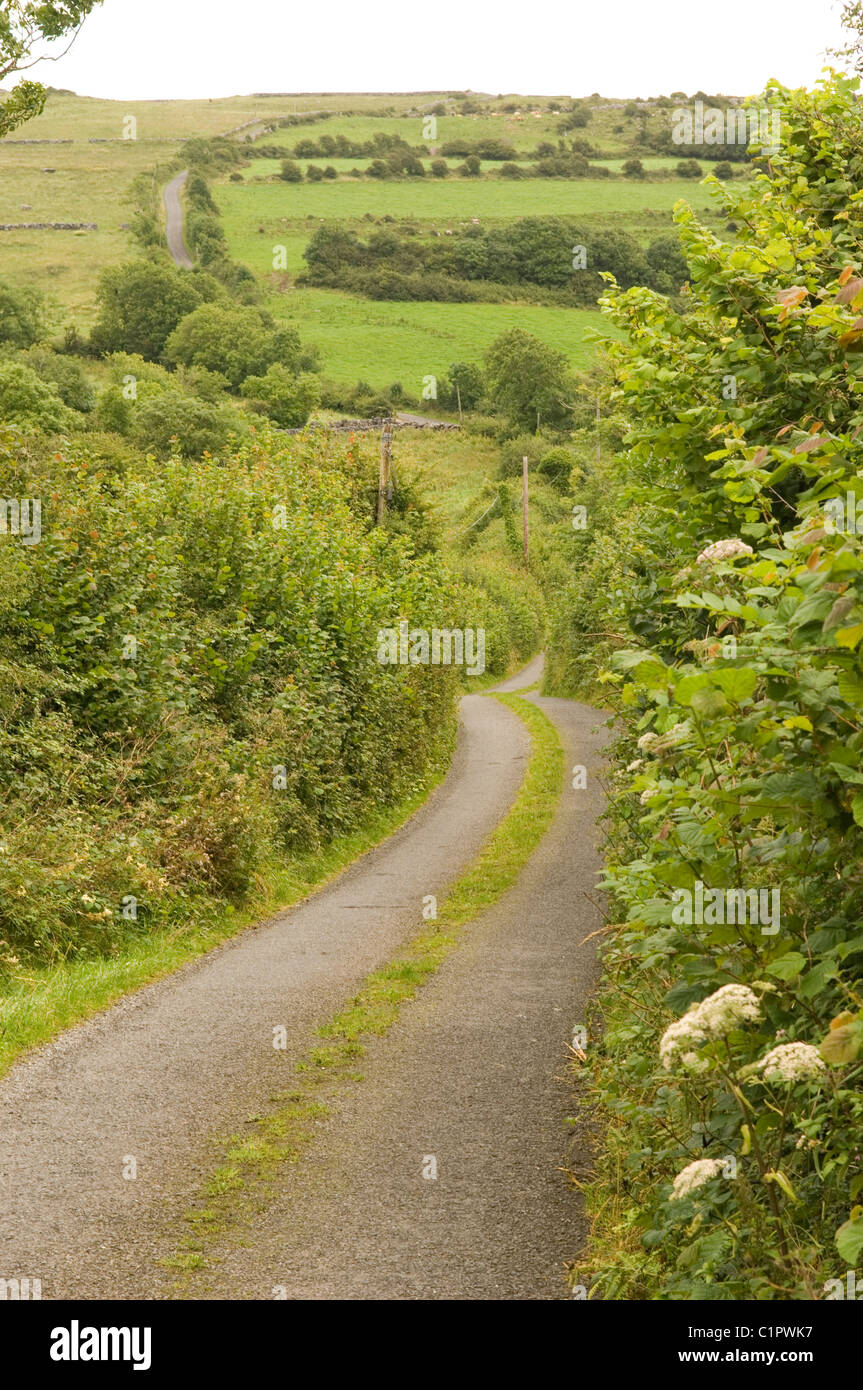 Republic of Ireland, The Burren, long country lane Stock Photo - Alamy