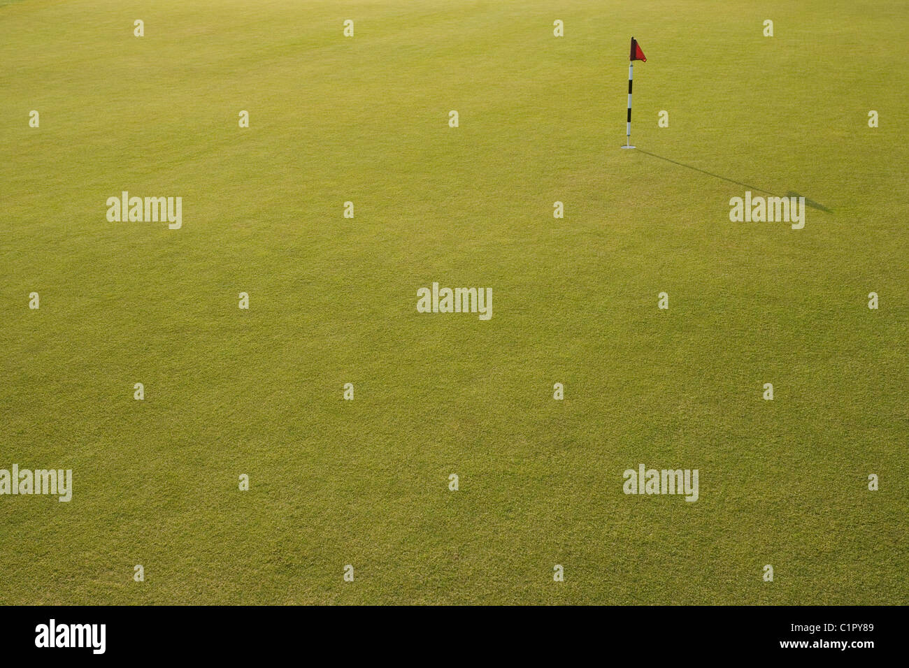 golfer,green,hole,flag,putt,putting,practice,grass Stock Photo