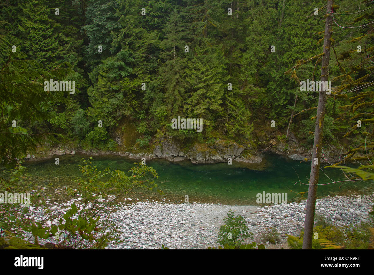 Clear green Chehalis River flowing through Canyon, near Harrison Mills