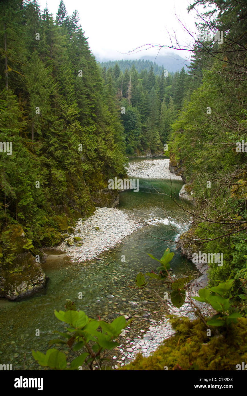 Chehalis river hires stock photography and images Alamy
