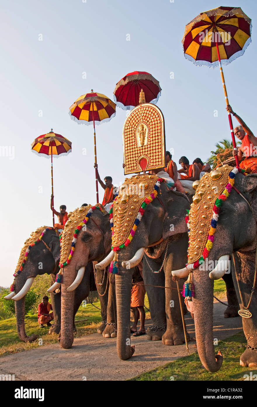 Gold-caparisoned elephants are featured at the Thrissur Pooram, a Hindu temple-centered festival of Kerala. Stock Photo