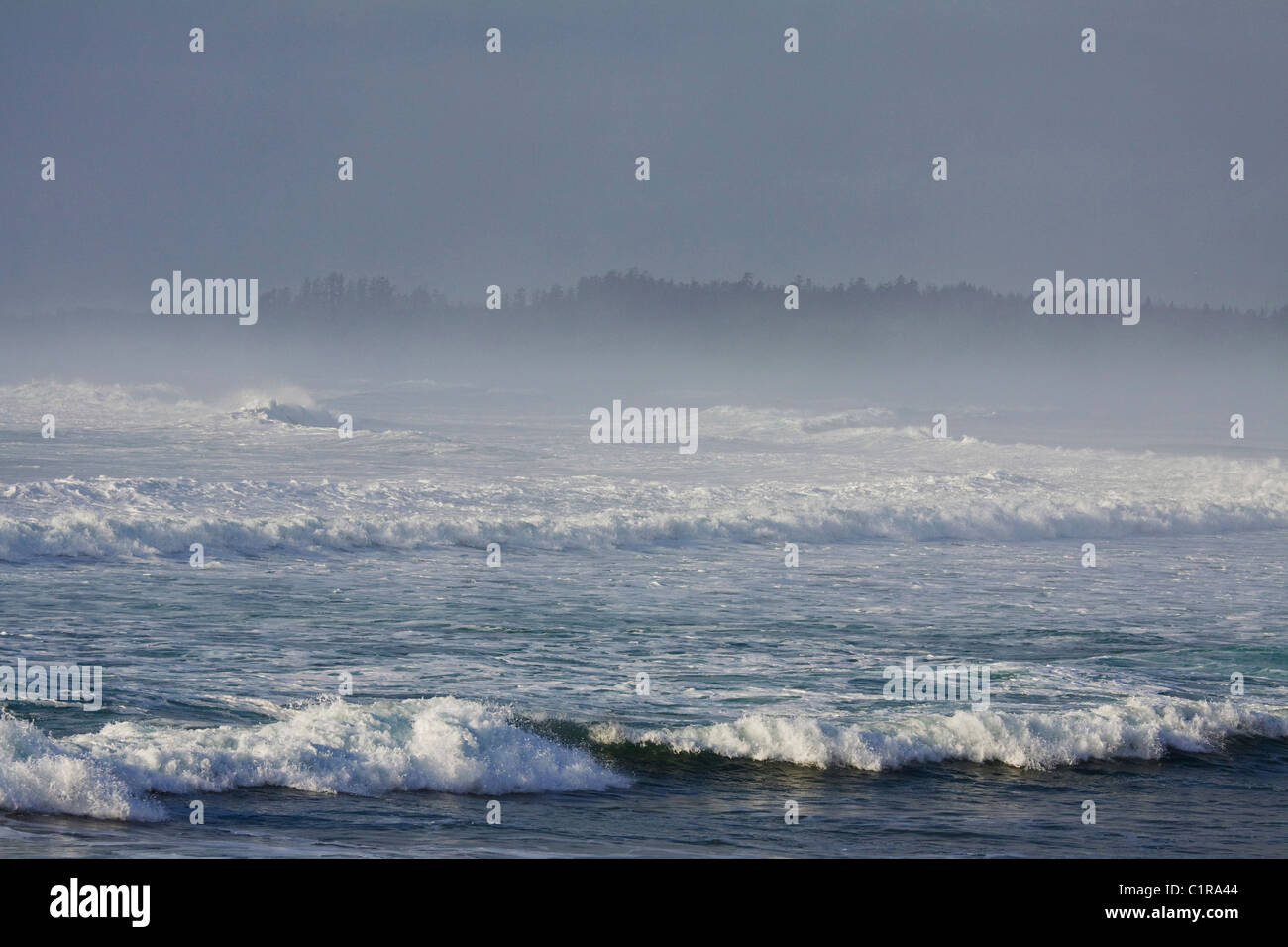 Mist and waves, winter in Pacific Rim National Park, Vancouver Island, British Columbia Stock Photo