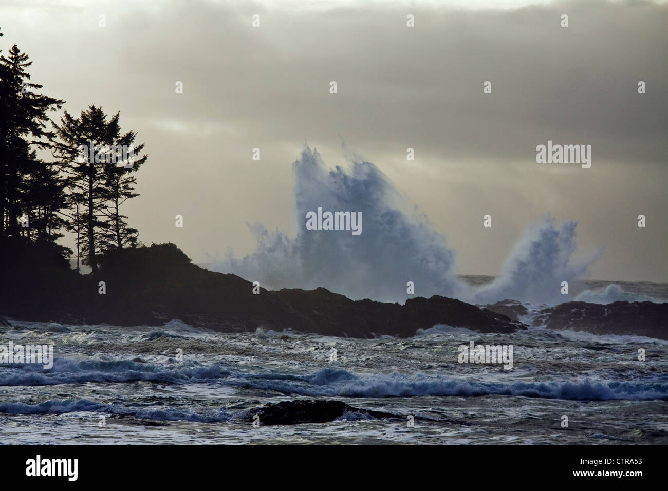 Large waves crash along the shoreline, Pacific Rim National Park, Vancouver Island, British Columbia Stock Photo
