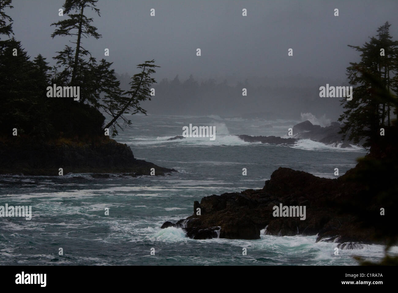 Stormy weather along the Wild Pacific Trail, Ucluelet, Vancouver Island, British Columbia Stock Photo