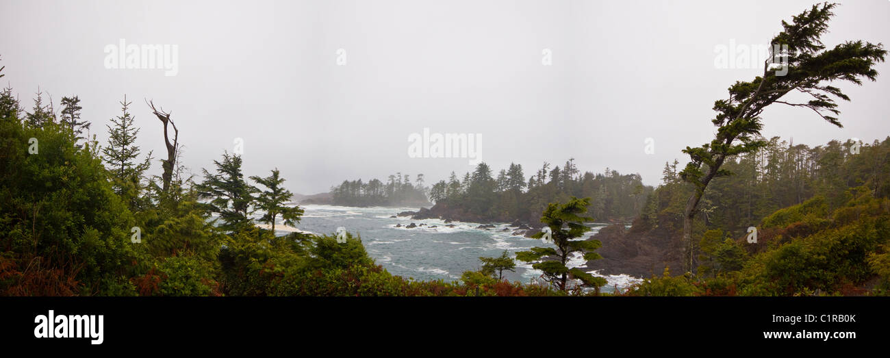 Panoramic view in winter along the Wild Pacific Trail, Ucluelet
