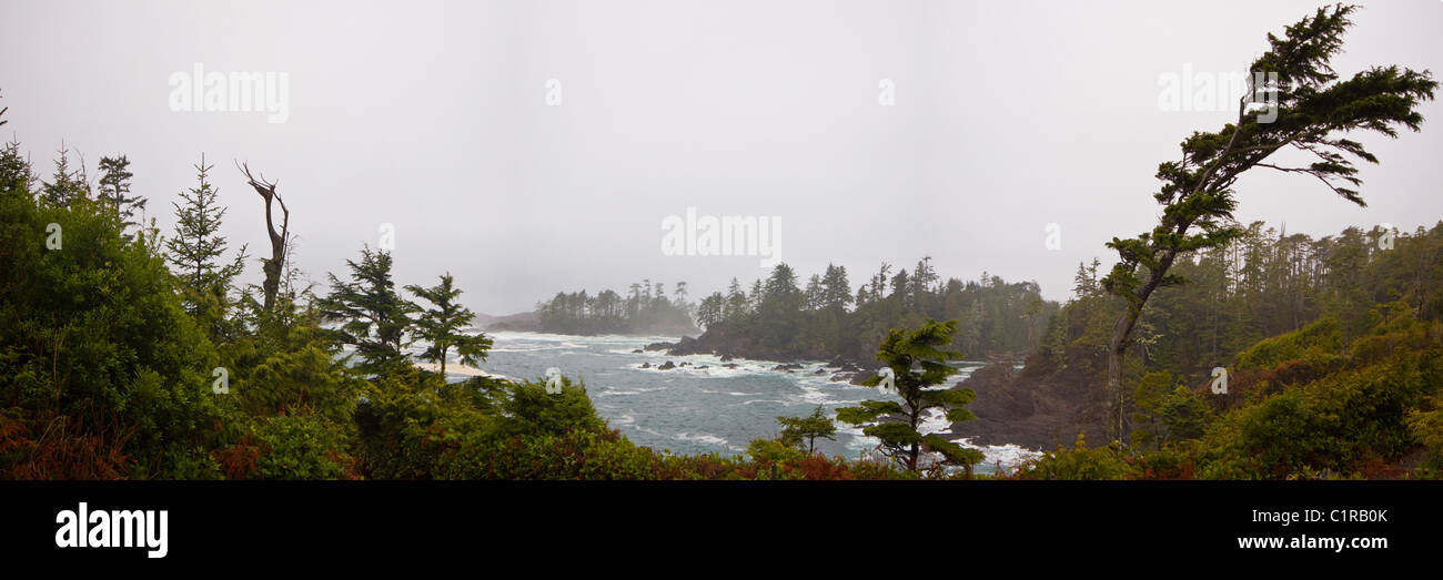 Panoramic view in winter along the Wild Pacific Trail, Ucluelet, Vancouver Island, British Columbia Stock Photo