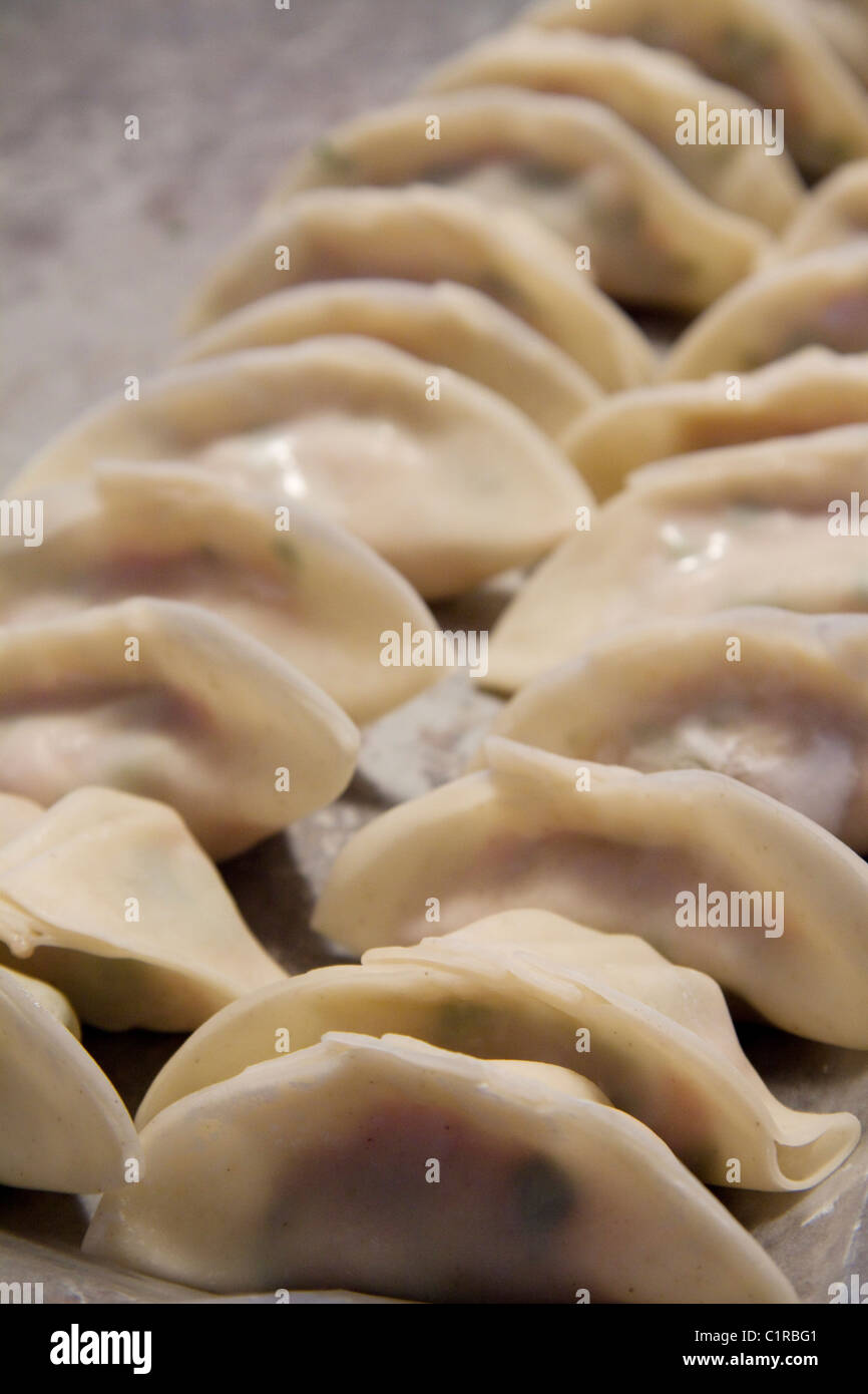 Tray of handmade wor tip, also known as potstickers or pork dumplings Stock Photo