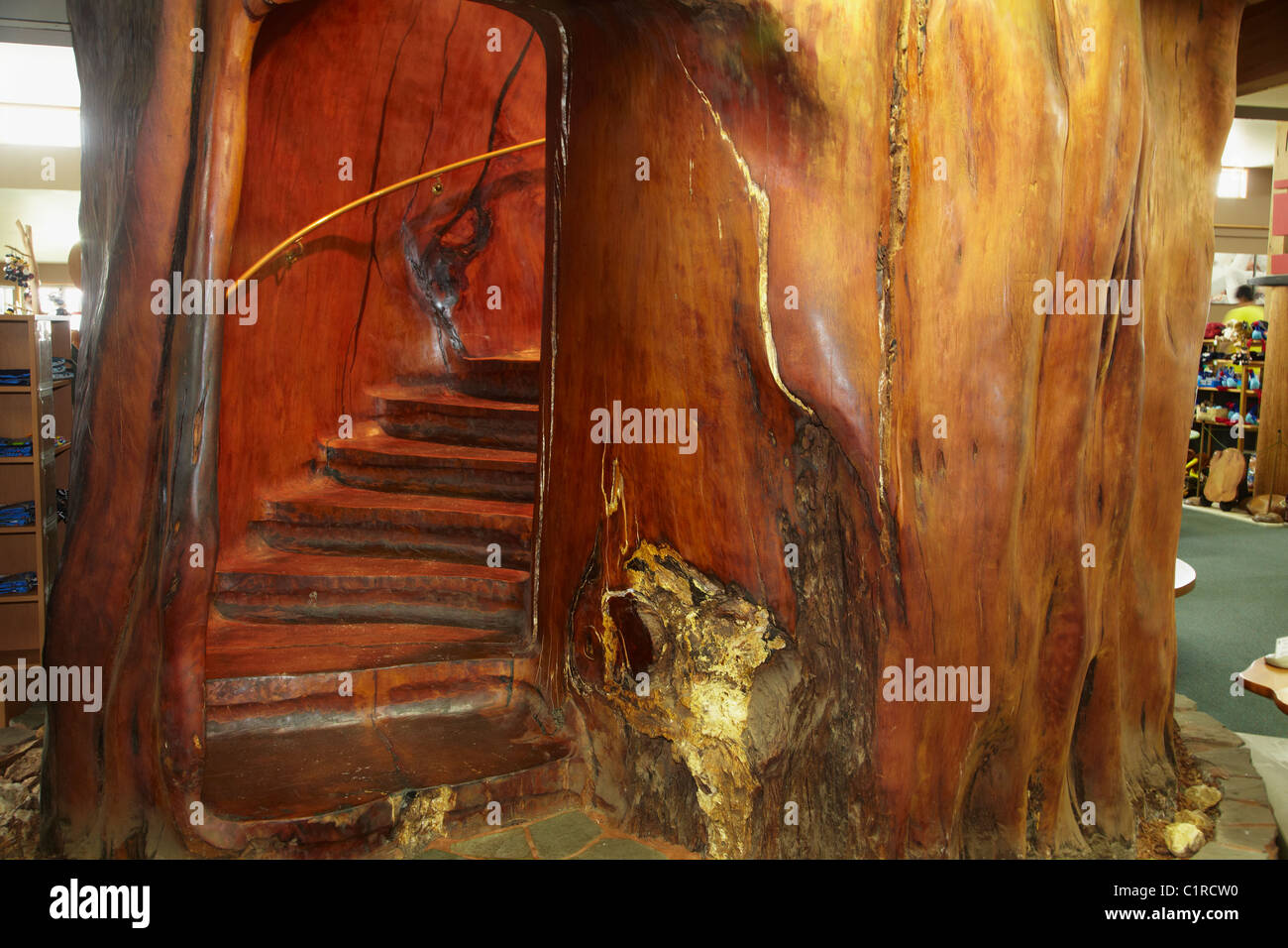 Swamp Kauri Wood