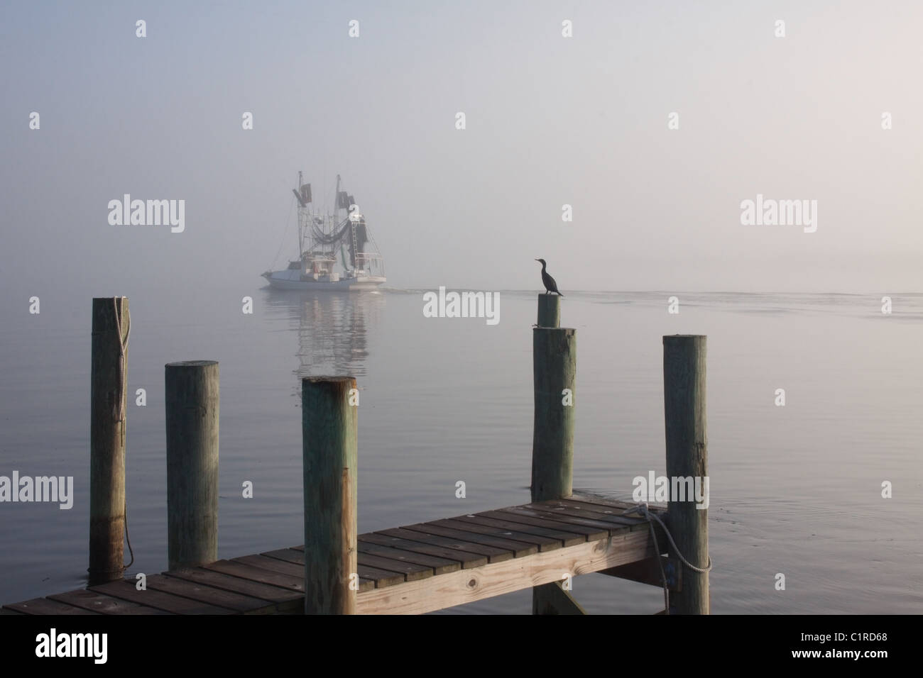 Cormorant fishing boat hires stock photography and images Alamy