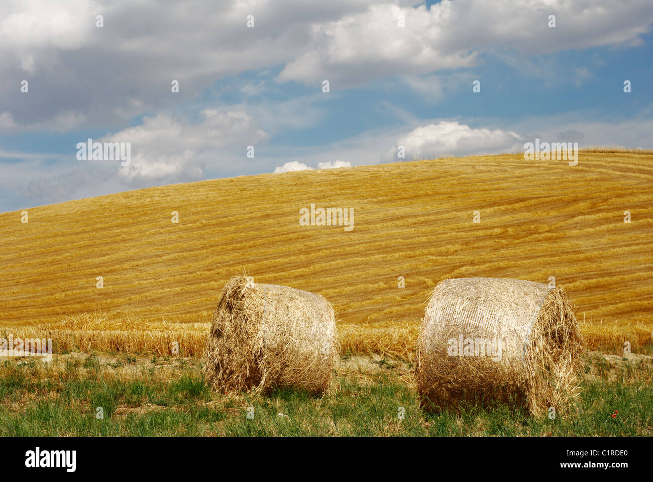 Straw bales in field with beautiful moody sky Stock Photo