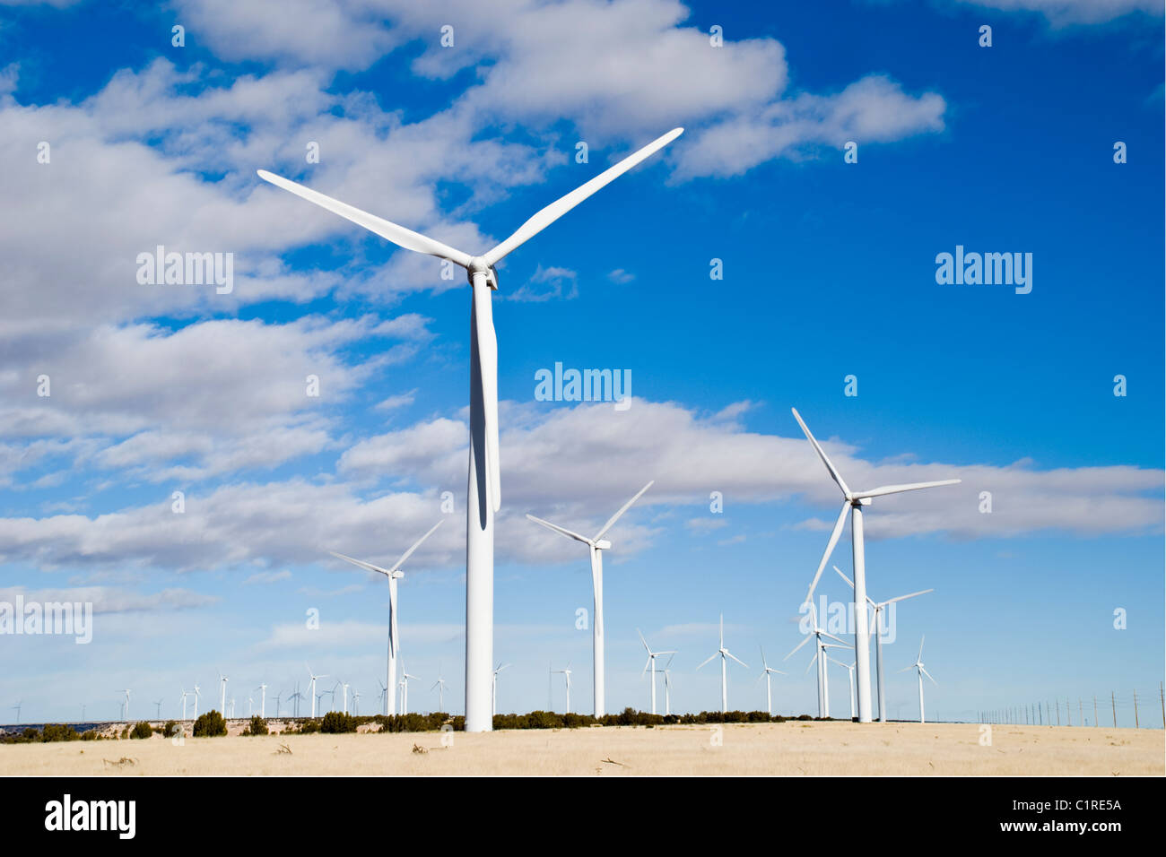 A wind farm in eastern New Mexico captures the abundance of wind in this part of the state. Stock Photo