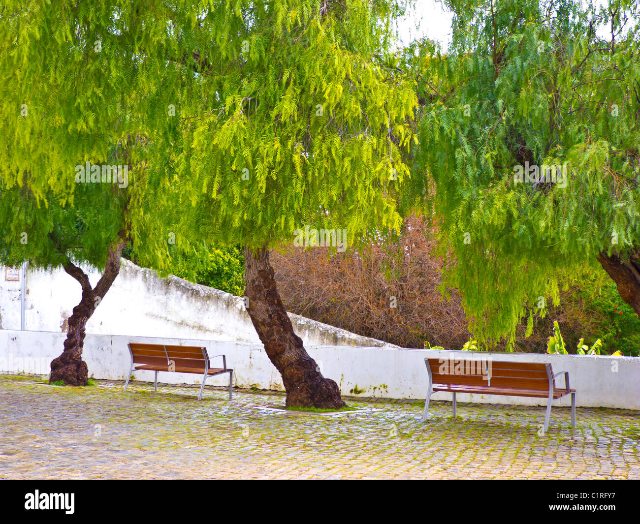 Two empty park benches Stock Photo - Alamy