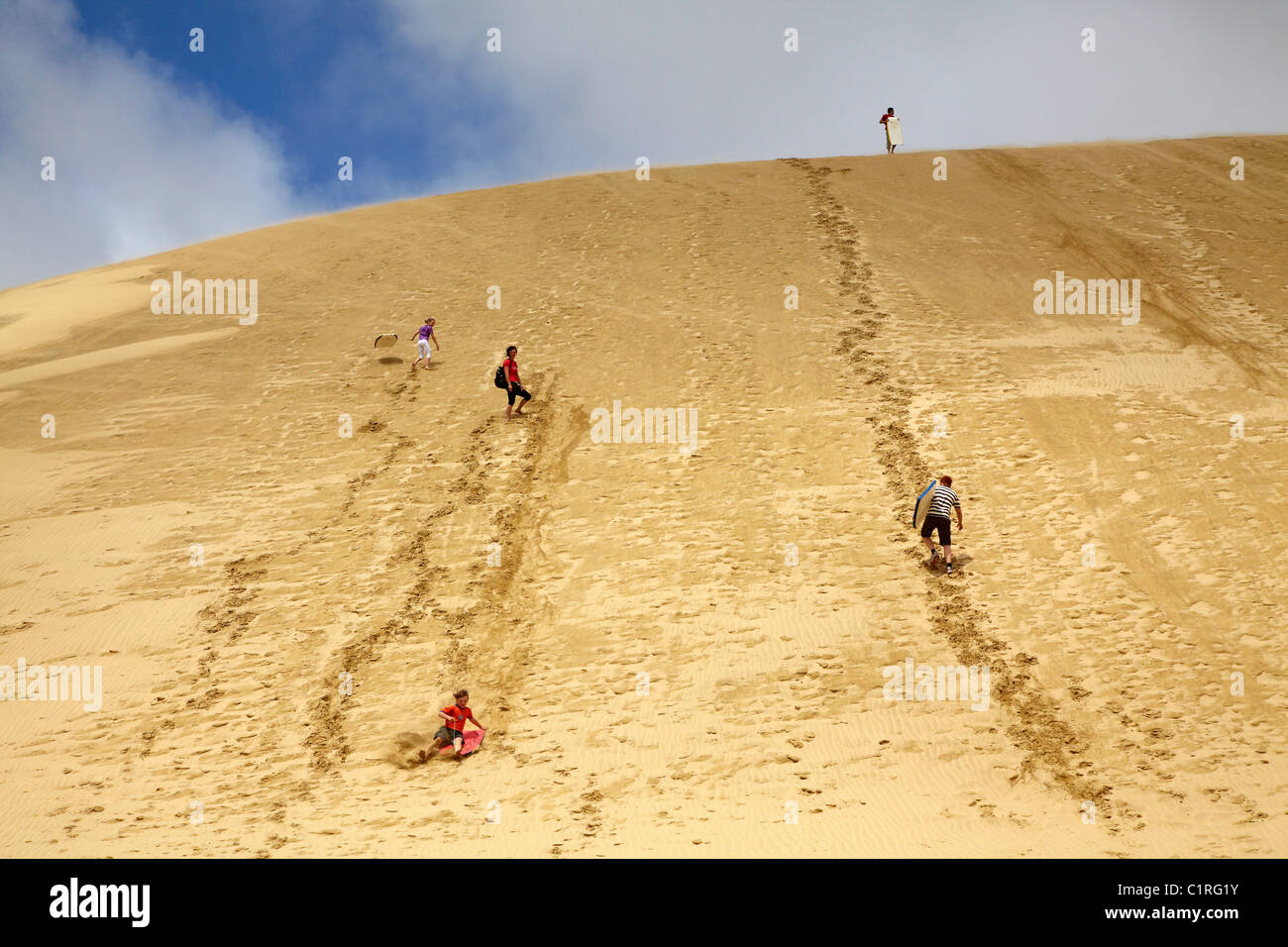 People climbing giant Te Paki Sand Dunes to go dune boarding, Far Stock