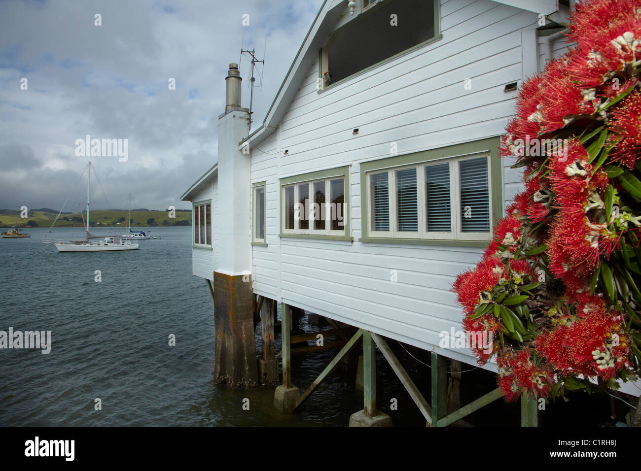 Mangonui general store and offices 1907 and pohutukawa tree hires stock photography and images