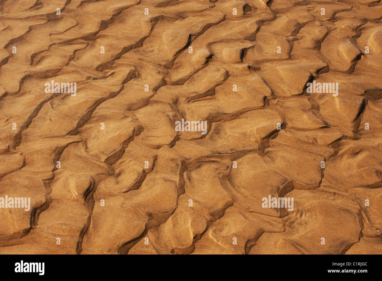 Patterns made by wave action on the sands of the Norfolk Coast west of Cromer, seen here just submerged at low tide. Stock Photo