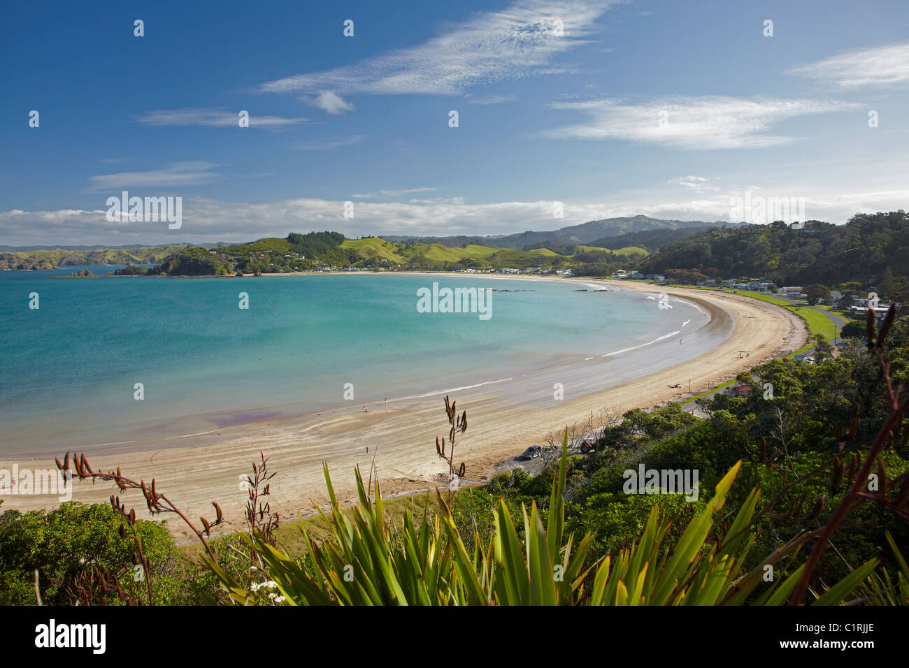 Oakura Bay, Northland, North Island, New Zealand Stock Photo Alamy